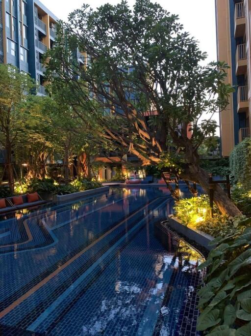 Condo for Rent, Sale at The Base Sukhumvit 50