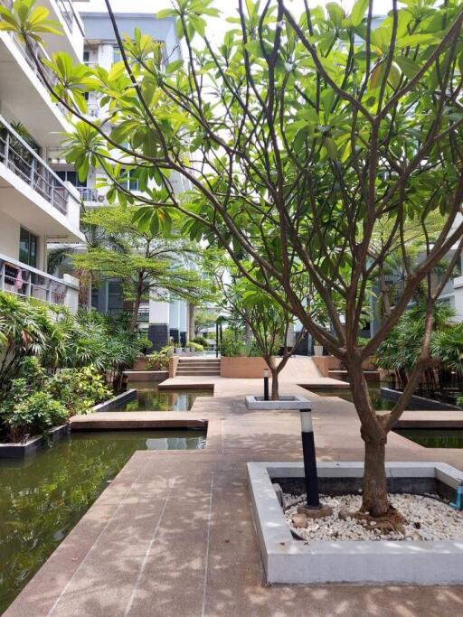 Condo for Rent at The Waterford Sukhumvit 50