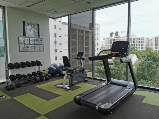 Condo for Rent at Ideo Mobi Sukhumvit 81