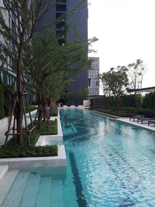 Condo for Rent at Ideo Sukhumvit 93