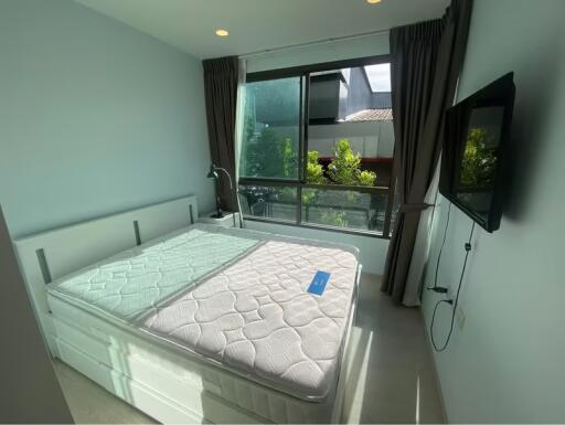 1 Bedroom Condo For Rent At The Tree Sukhumvit 64