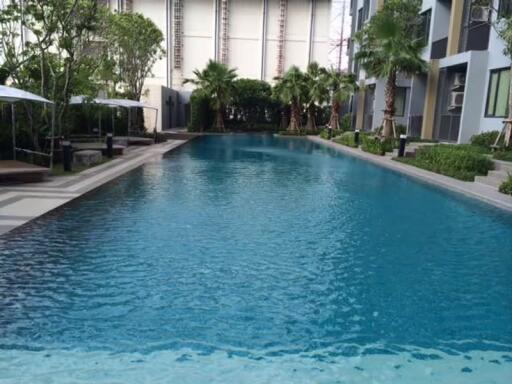 1 Bedroom Condo For Rent at Q House Sukhumvit 79