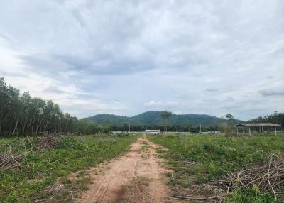 Land for sale in Nong Yai, beautiful plot, Ban Tha Cham, Nong Suea Chang, near Chonburi Industrial Estate.