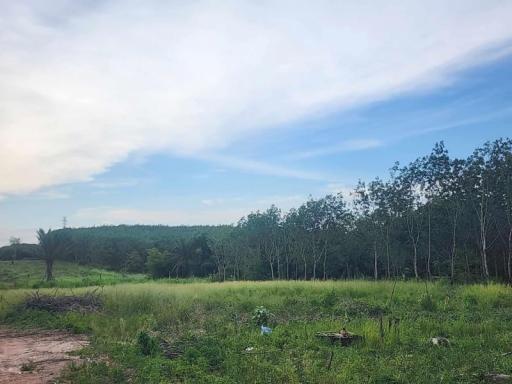 Land for sale in Nong Yai, beautiful plot, Ban Tha Cham, Nong Suea Chang, near Chonburi Industrial Estate.
