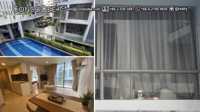 Affordable Pet-Friendly Condo Bangkok