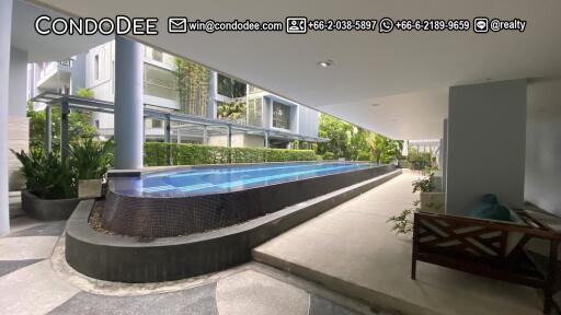 Affordable Pet-Friendly Condo Bangkok