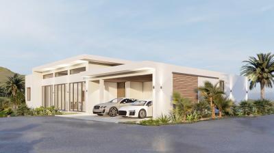 Modern single-story house with spacious garage and palm trees