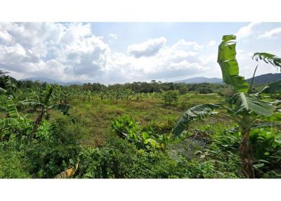 Land On Nice Location In Lipa Noi