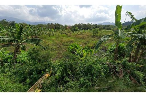 Land On Nice Location In Lipa Noi