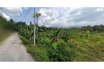 Land On Nice Location In Lipa Noi