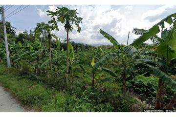 Land On Nice Location In Lipa Noi