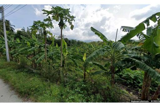 Land On Nice Location In Lipa Noi - 920121001-1829