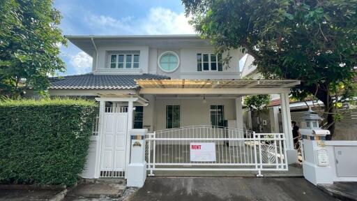 House for Rent in Nong Chom, San Sai.