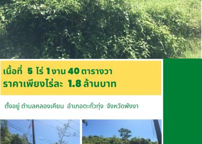 U-124  ตำบลคลองเคียน  อำเภอตะกั่วทุ่ง  จังหวัดพังงา