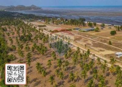 ขายที่ดินใกล้ชายทะเลราคาถูกสุดในย่านกุยบุรี - 920271013-43