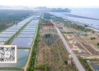 ขายที่ดินใกล้ชายทะเลราคาถูกสุดในย่านกุยบุรี - 920271013-43
