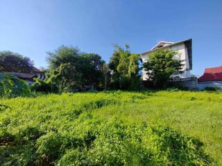 Prime Land for Sale Chiang Mai - Ideal for Residential or Commercial