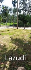 Prime Land Plot 500 SQ.M in Maret Koh Samui