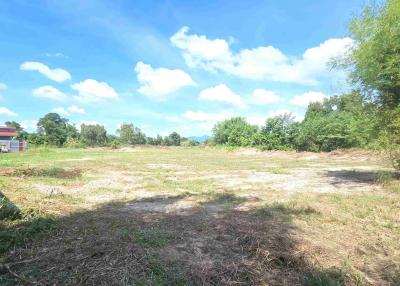 28.5 rai (45 600 sqm) land for sale close to Suan Son beach in Rayong!