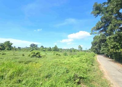 28.5 rai (45 600 sqm) land for sale close to Suan Son beach in Rayong!