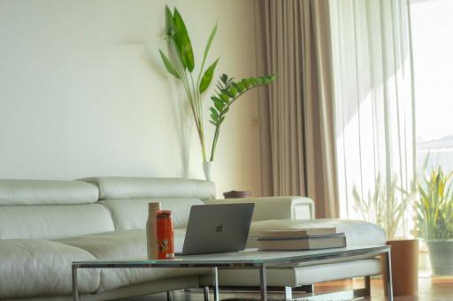 Modern living room with natural light