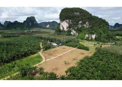 Land for Sale in Nhong Thale Krabi