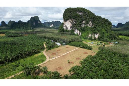 Land for Sale in Nhong Thale Krabi - 920281012-48