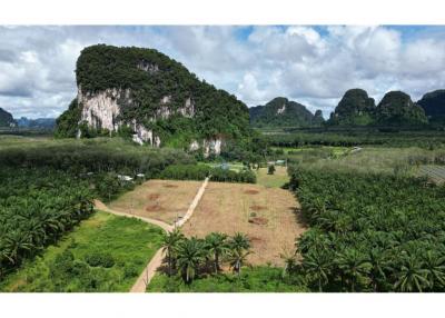 Land for Sale in Nhong Thale Krabi