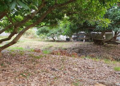 Prime Land for Sale in Chiang Mai  1,668 Sq Wah  Great Location