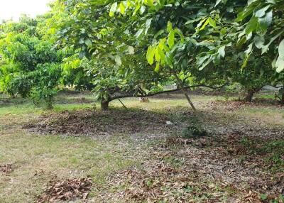 Prime Land for Sale in Chiang Mai  1,668 Sq Wah  Great Location