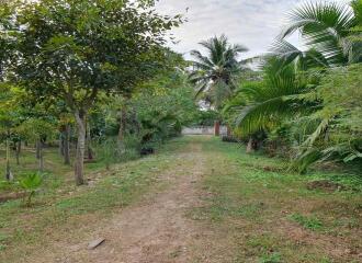 Prime Land for Sale in Chiang Mai  1,668 Sq Wah  Great Location