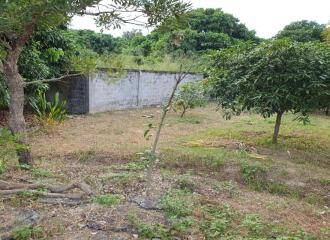 Prime Land for Sale in Chiang Mai  1,668 Sq Wah  Great Location