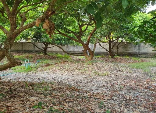 Prime Land for Sale in Chiang Mai  1,668 Sq Wah  Great Location