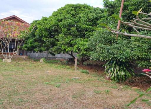 Prime Land for Sale in Chiang Mai  1,668 Sq Wah  Great Location