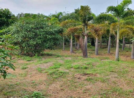 Prime Land for Sale in Chiang Mai  1,668 Sq Wah  Great Location