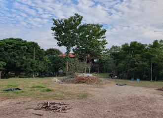 Explore exclusive land for sale in San Phak Wan, Hang Dong, Chiang Mai. 1,668 Sqw at 9,026 ฿/Sqw. Ideal for residential projects. Close to SIBS, golf, and more.