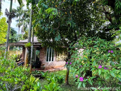 5 Bedroom Villa on Large Land Plot in the Heart of Kathu