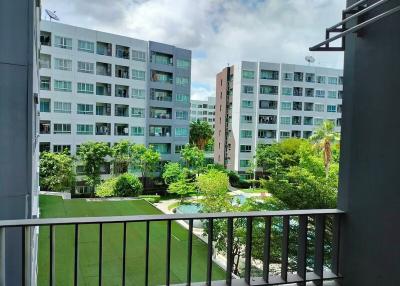 Condo for Rent at Elio Del Ray