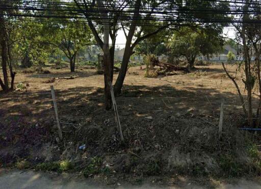 Prime 3,110 Sq W Land for Sale in Chiang Mai  Ideal for your project