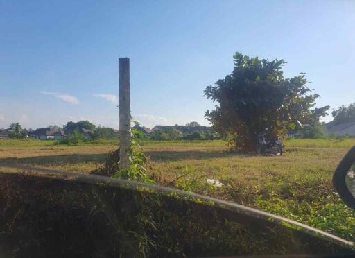 Prime 3,110 Sq W Land for Sale in Chiang Mai  Ideal for your project