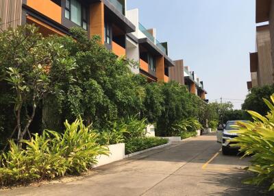 Resort Style Pool Suite Condo for Sale Chiang Mai  Mae Hia 2.39M Baht