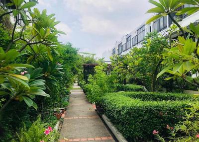 For Rent Bangkok Town House Garden House Nonsi BTS Chong Nonsi Yan Nawa