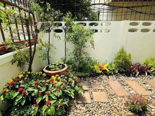 Beautiful Five Bedrooms + Maid room Home with Tropical Garden for Rent in Phormphong, Bangkok