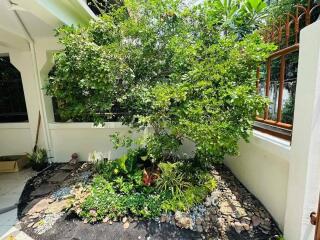 Beautiful Five Bedrooms + Maid room Home with Tropical Garden for Rent in Phormphong, Bangkok