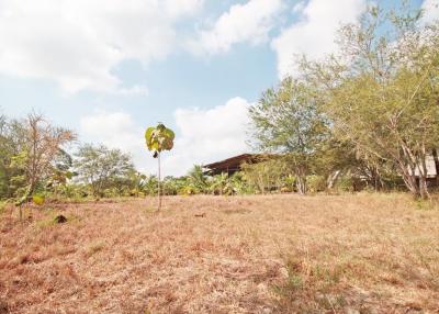 Spacious outdoor area with natural surroundings and potential building site