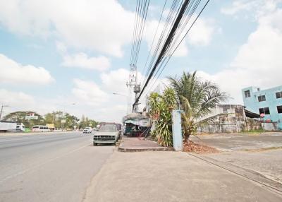Street view with visible power lines and tropical vegetation near a residential area