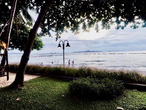 Beachside view with green lawn and trees