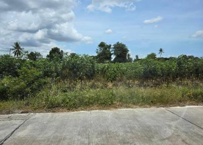 Vacant land with overgrown vegetation under a cloudy sky