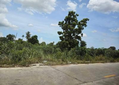 Open land beside a paved road under a clear blue sky