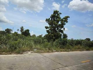 Open land beside a paved road under a clear blue sky